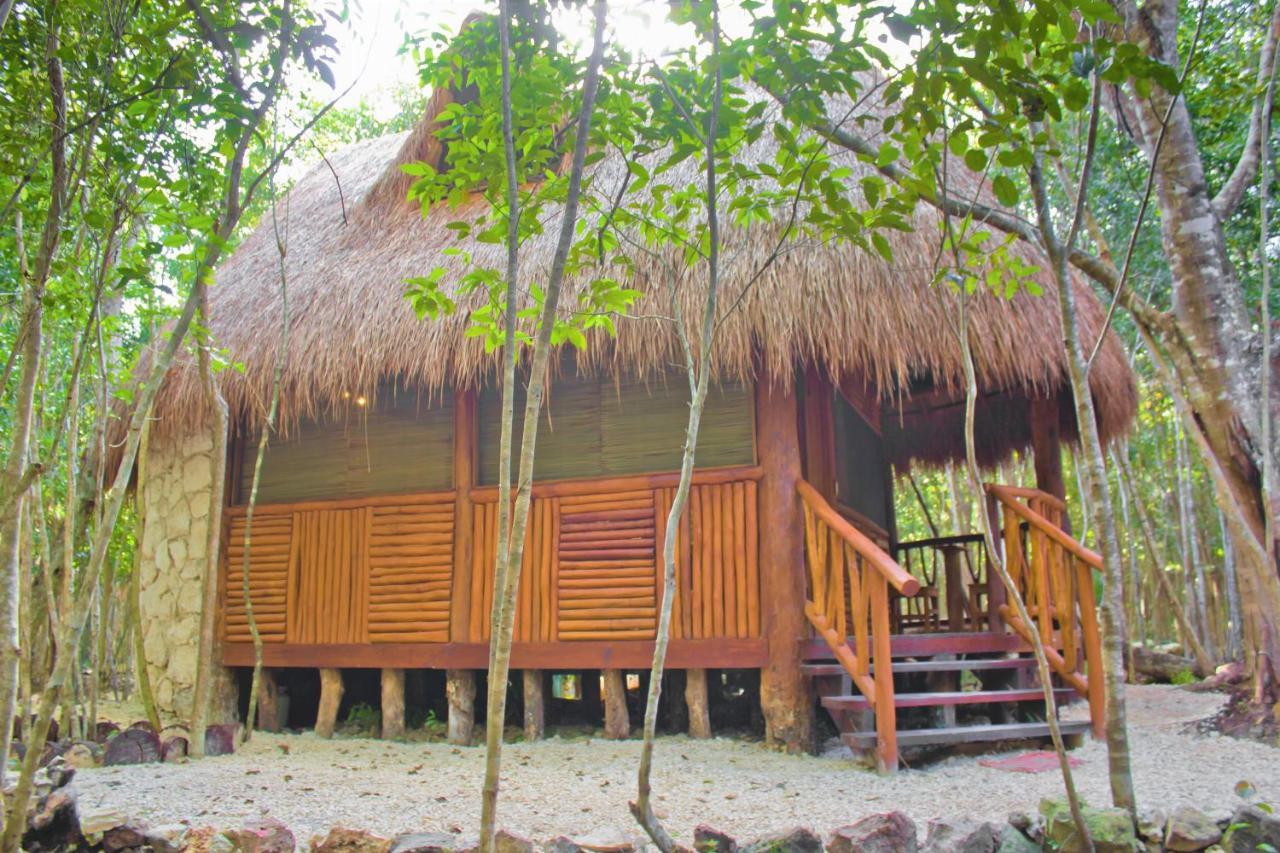 Aldea Maya-Ha Cabanas Con Cenotes プエルト・モレロス エクステリア 写真