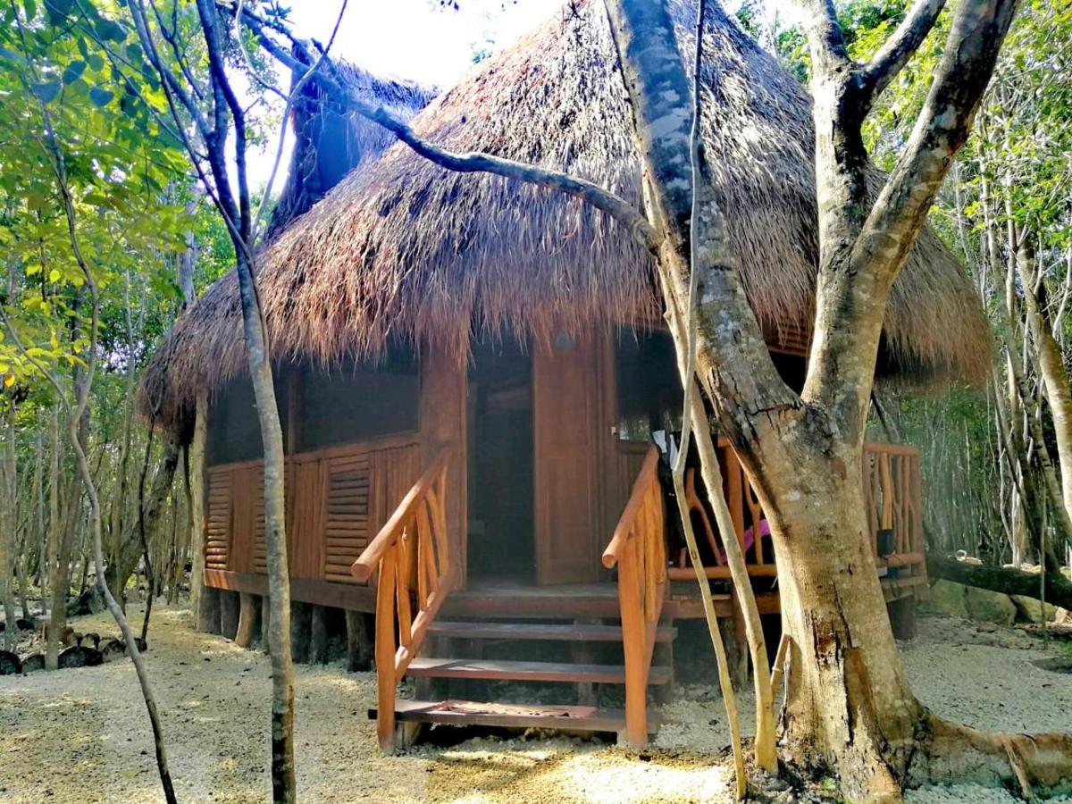 Aldea Maya-Ha Cabanas Con Cenotes プエルト・モレロス エクステリア 写真