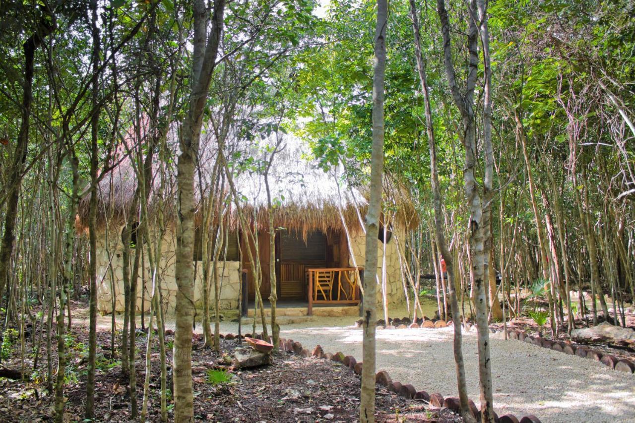 Aldea Maya-Ha Cabanas Con Cenotes プエルト・モレロス エクステリア 写真