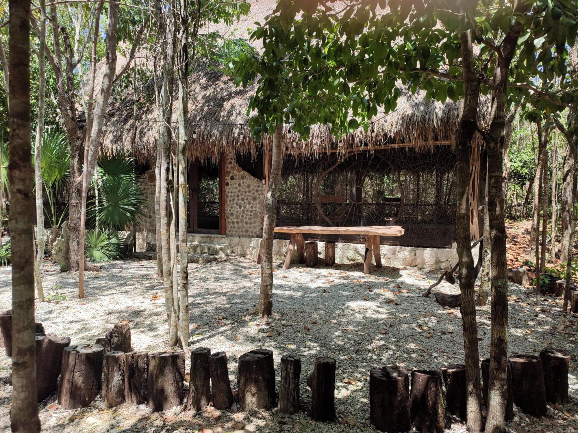 Aldea Maya-Ha Cabanas Con Cenotes プエルト・モレロス エクステリア 写真