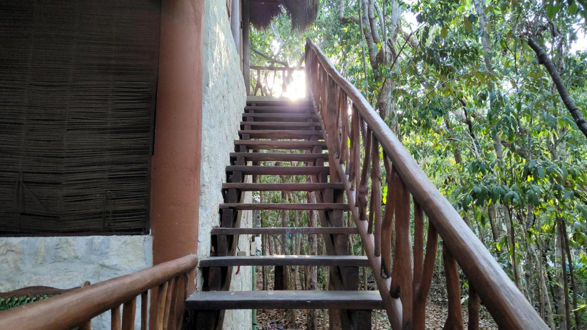 Aldea Maya-Ha Cabanas Con Cenotes プエルト・モレロス エクステリア 写真