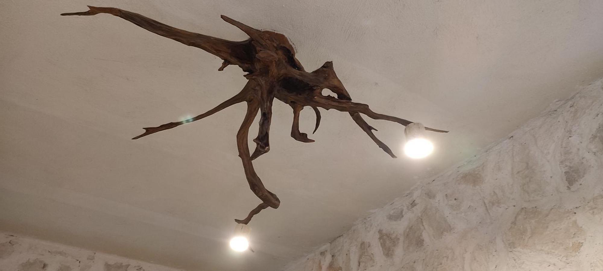 Aldea Maya-Ha Cabanas Con Cenotes プエルト・モレロス エクステリア 写真