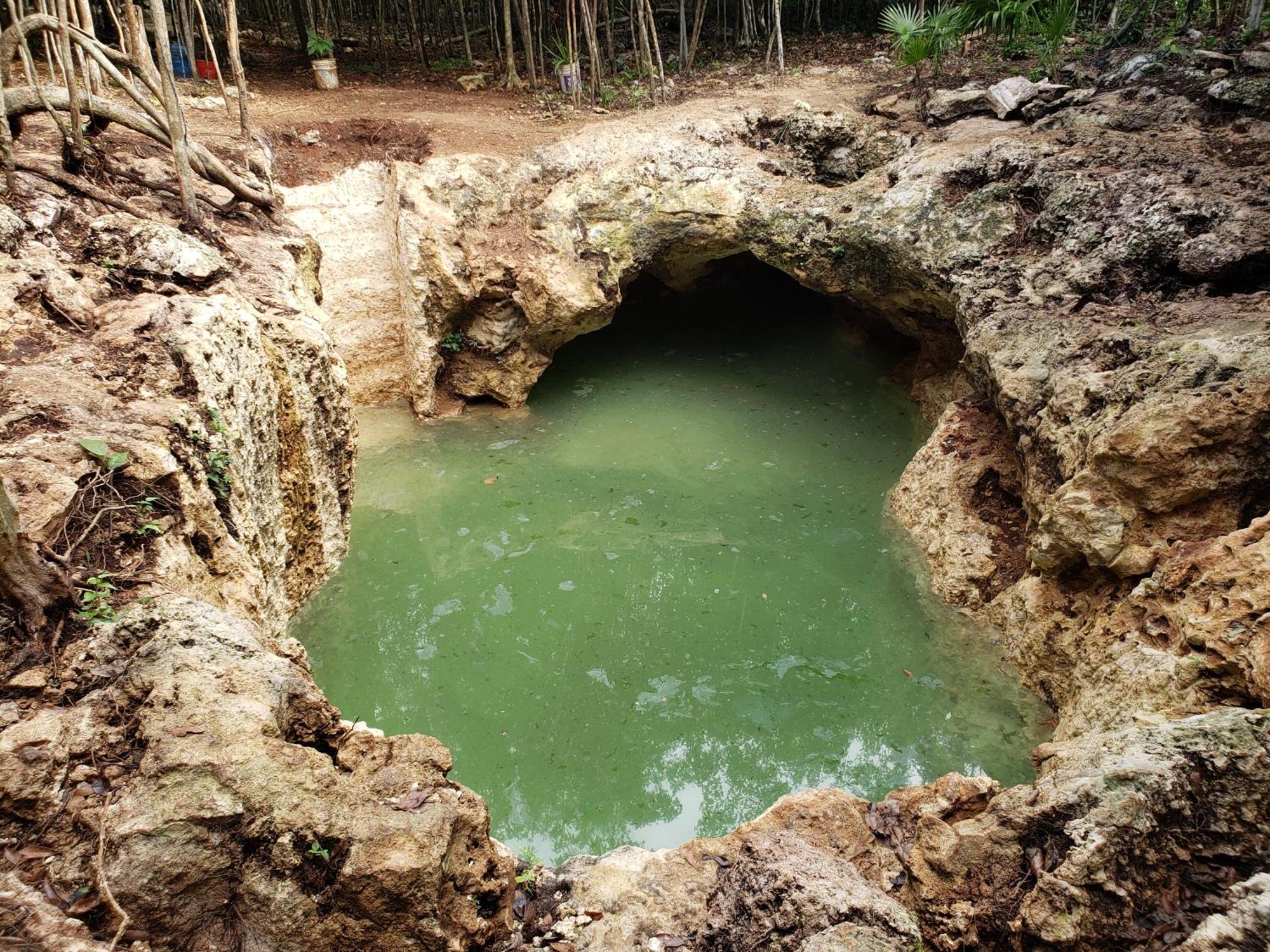 Aldea Maya-Ha Cabanas Con Cenotes プエルト・モレロス エクステリア 写真