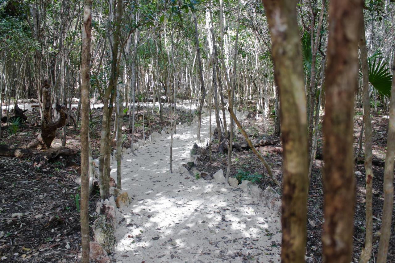 Aldea Maya-Ha Cabanas Con Cenotes プエルト・モレロス エクステリア 写真