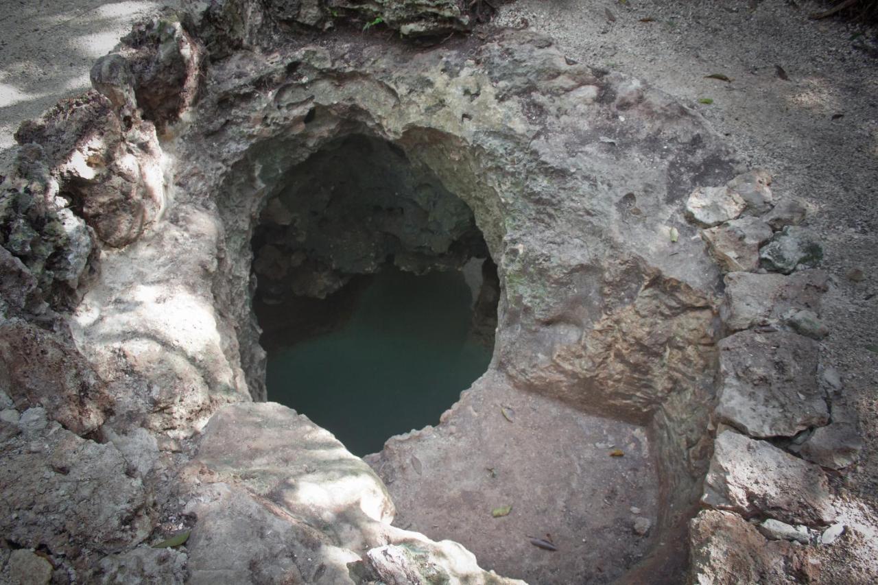 Aldea Maya-Ha Cabanas Con Cenotes プエルト・モレロス エクステリア 写真