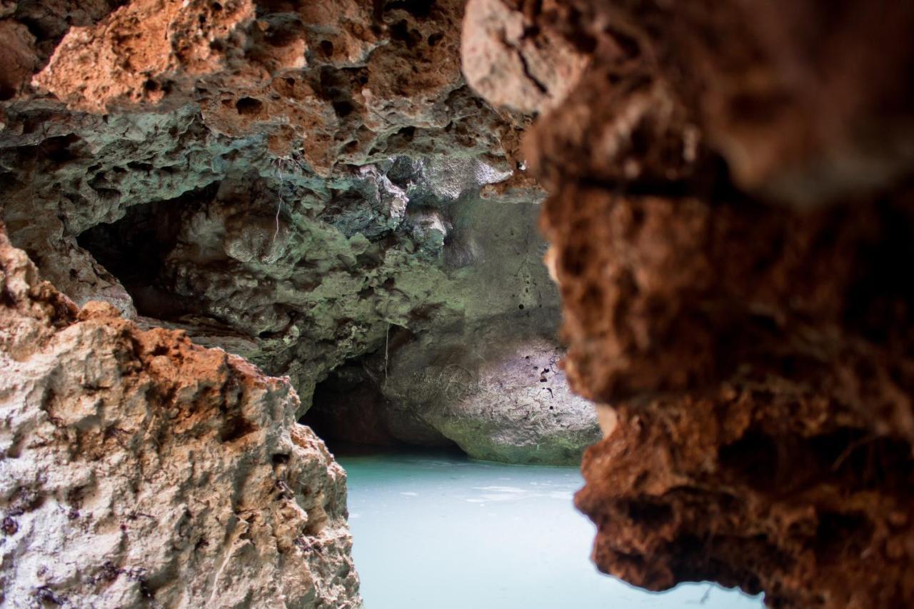 Aldea Maya-Ha Cabanas Con Cenotes プエルト・モレロス エクステリア 写真