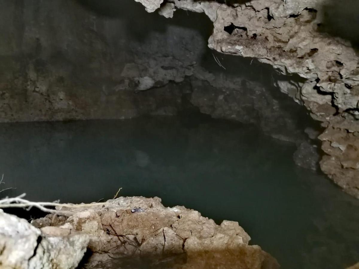 Aldea Maya-Ha Cabanas Con Cenotes プエルト・モレロス エクステリア 写真